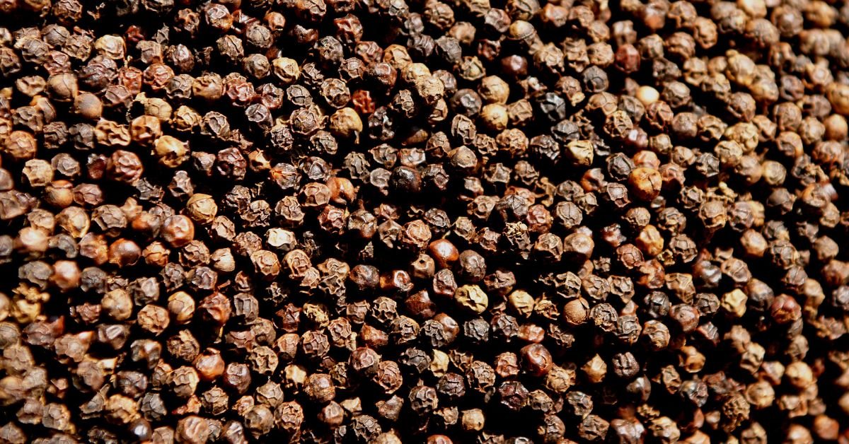Read more about the article Benefits of Organic Black Pepper – By Lionard Organic